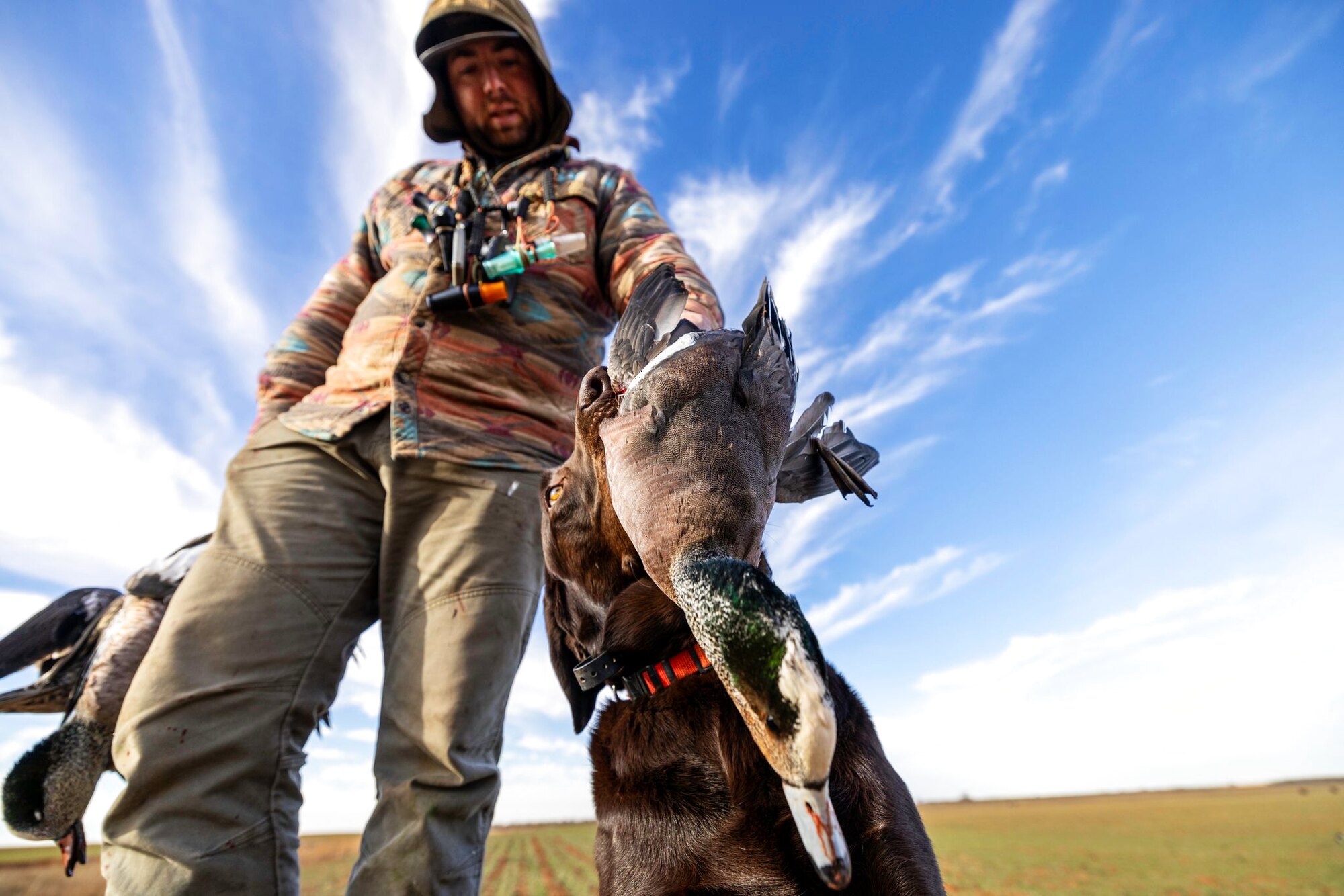 Out under the sky, a hunt at Dry Creek Outfitters