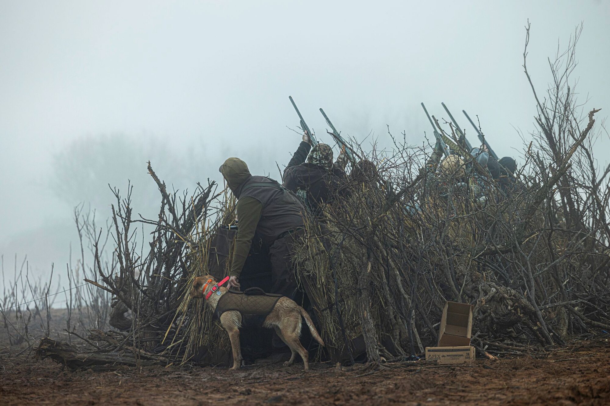 First light in the blind, a hunt at Dry Creek Outfitters