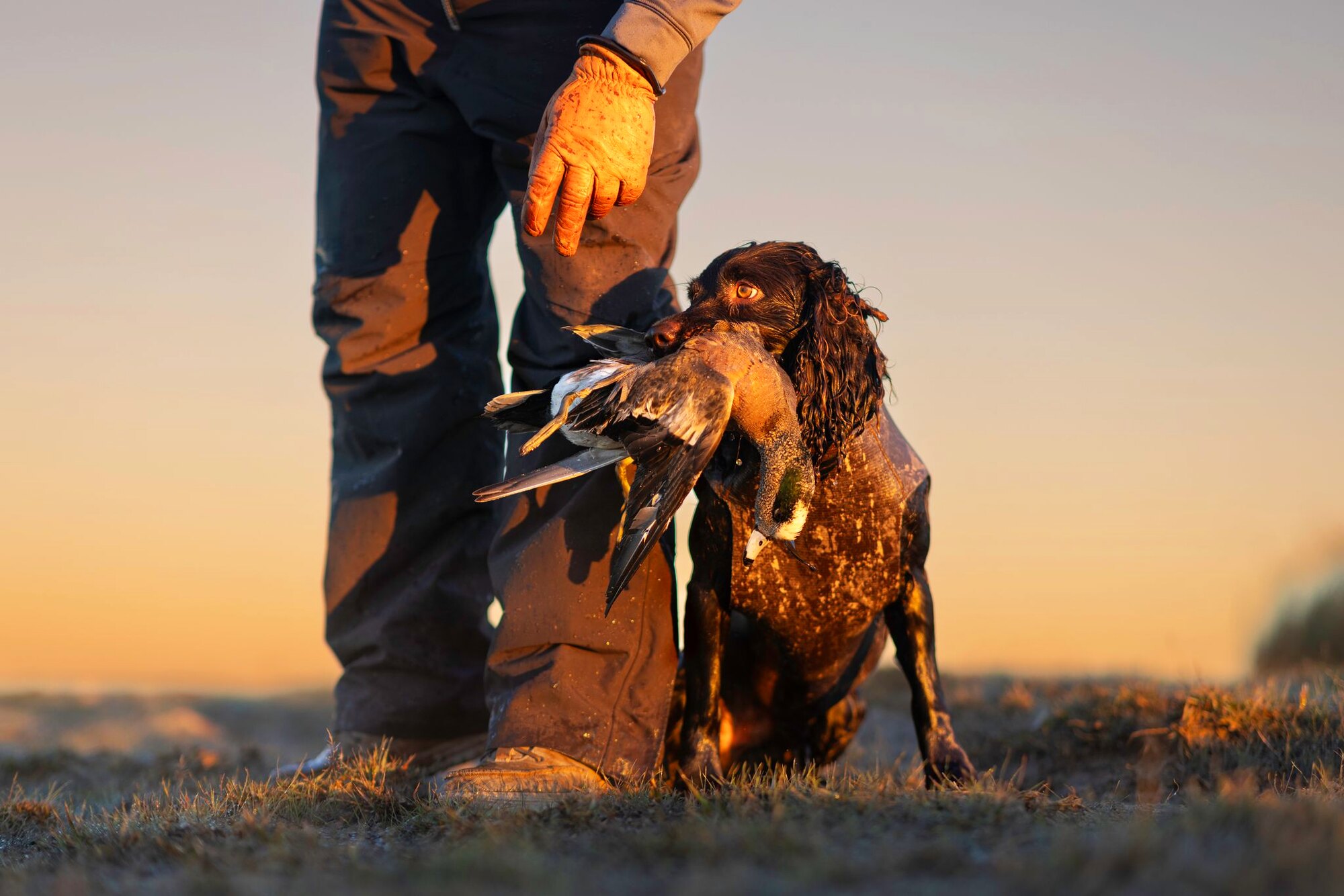 Bringing it back, a hunt at Dry Creek Outfitters