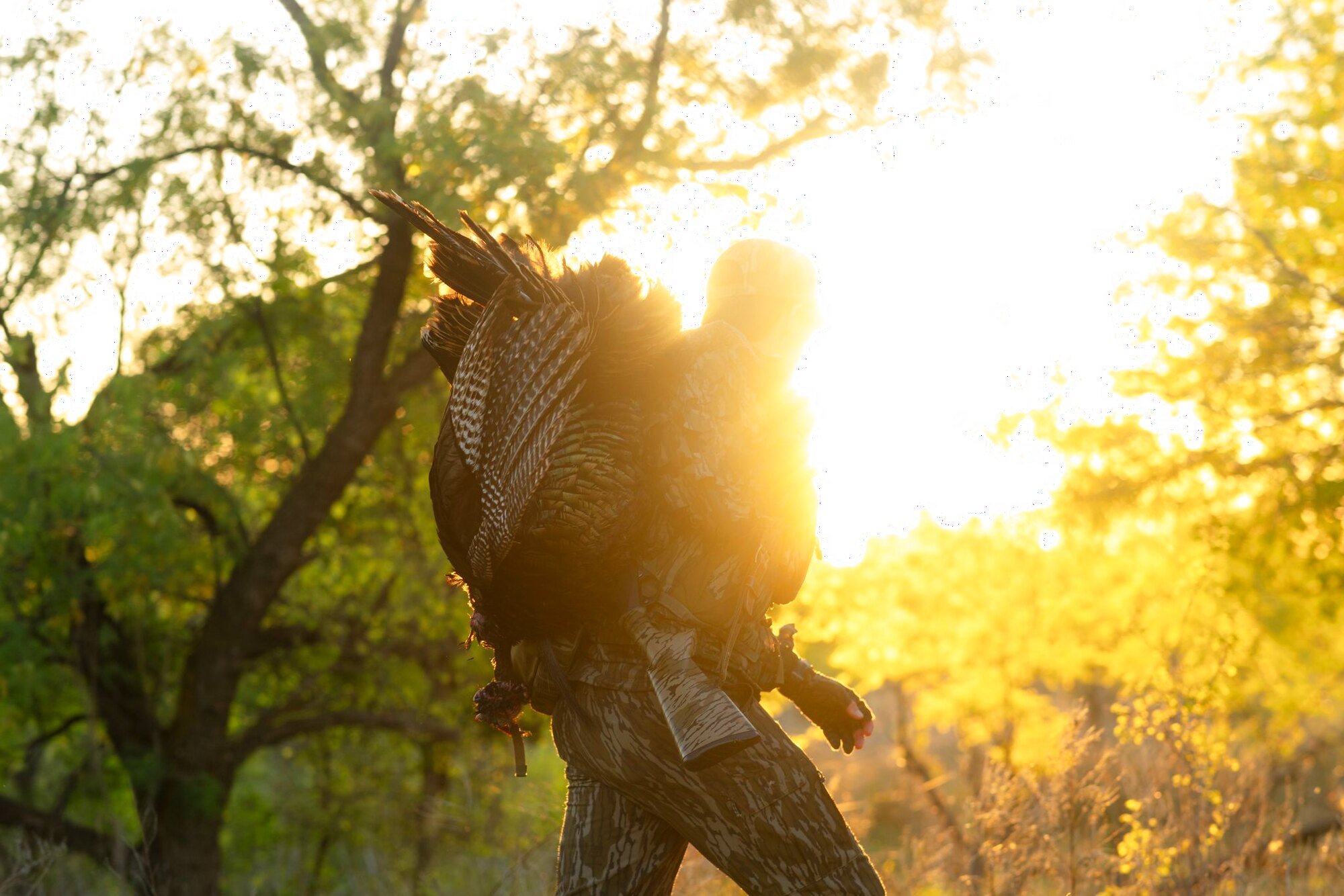 Carrying one out, a hunt at Dry Creek Outfitters