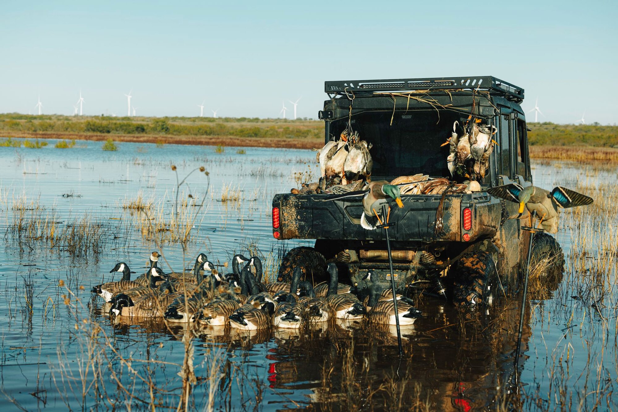 Cranes on the wing, a hunt at Dry Creek Outfitters