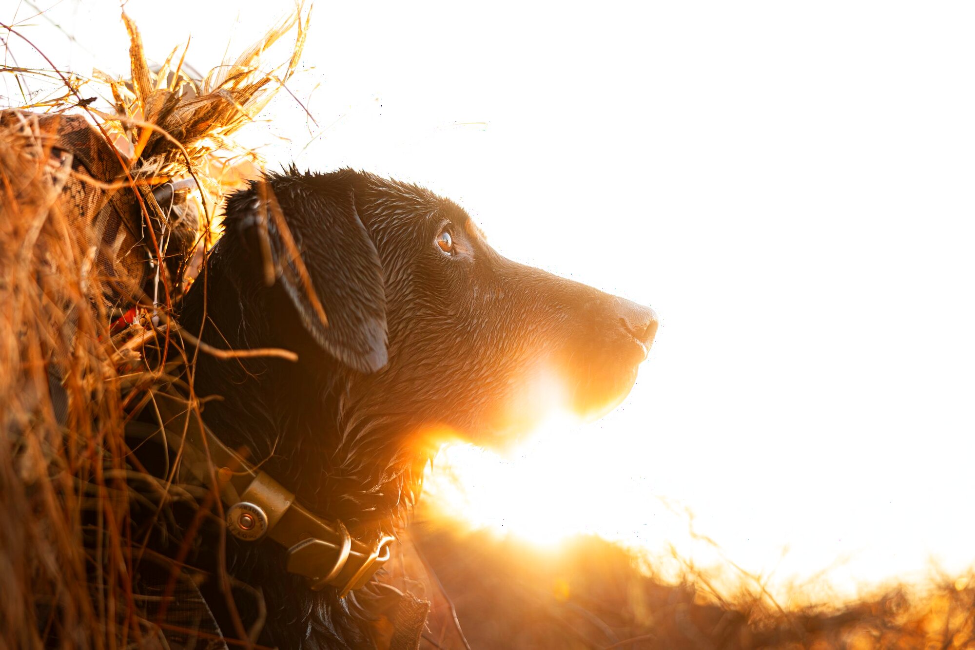The end of a day, a hunt at Dry Creek Outfitters
