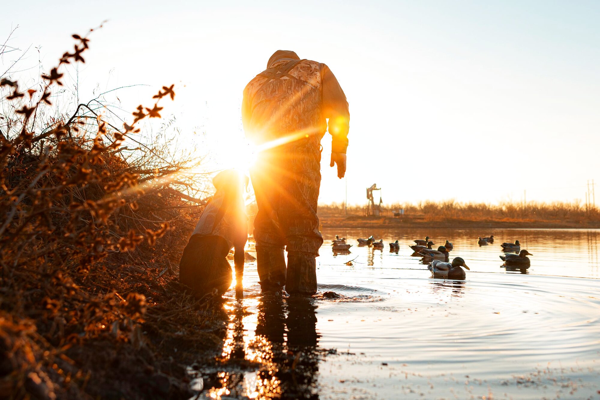 Into the sun, a hunt at Dry Creek Outfitters