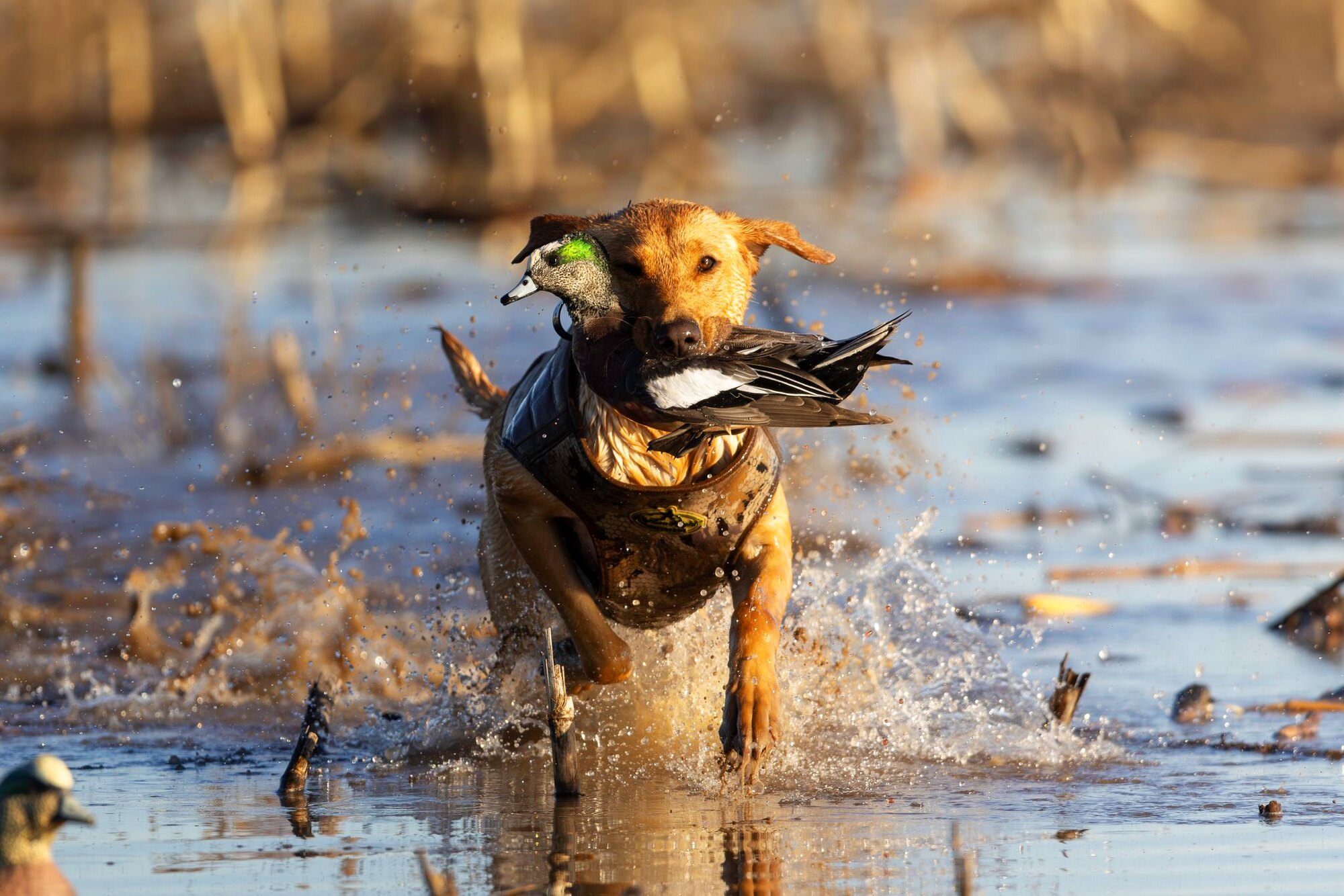 The next generation, a hunt at Dry Creek Outfitters