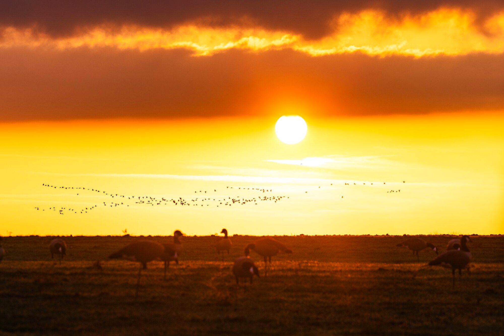 Sundown on the plains, a hunt at Dry Creek Outfitters