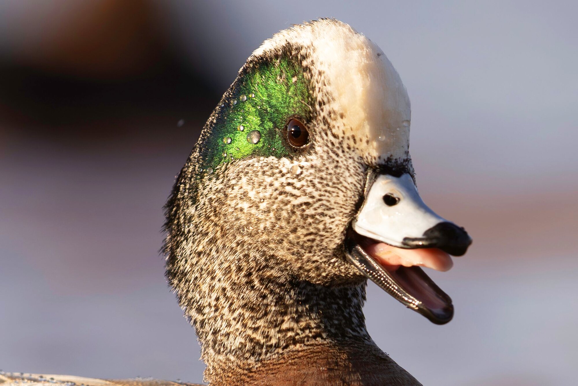 Up close, a hunt at Dry Creek Outfitters