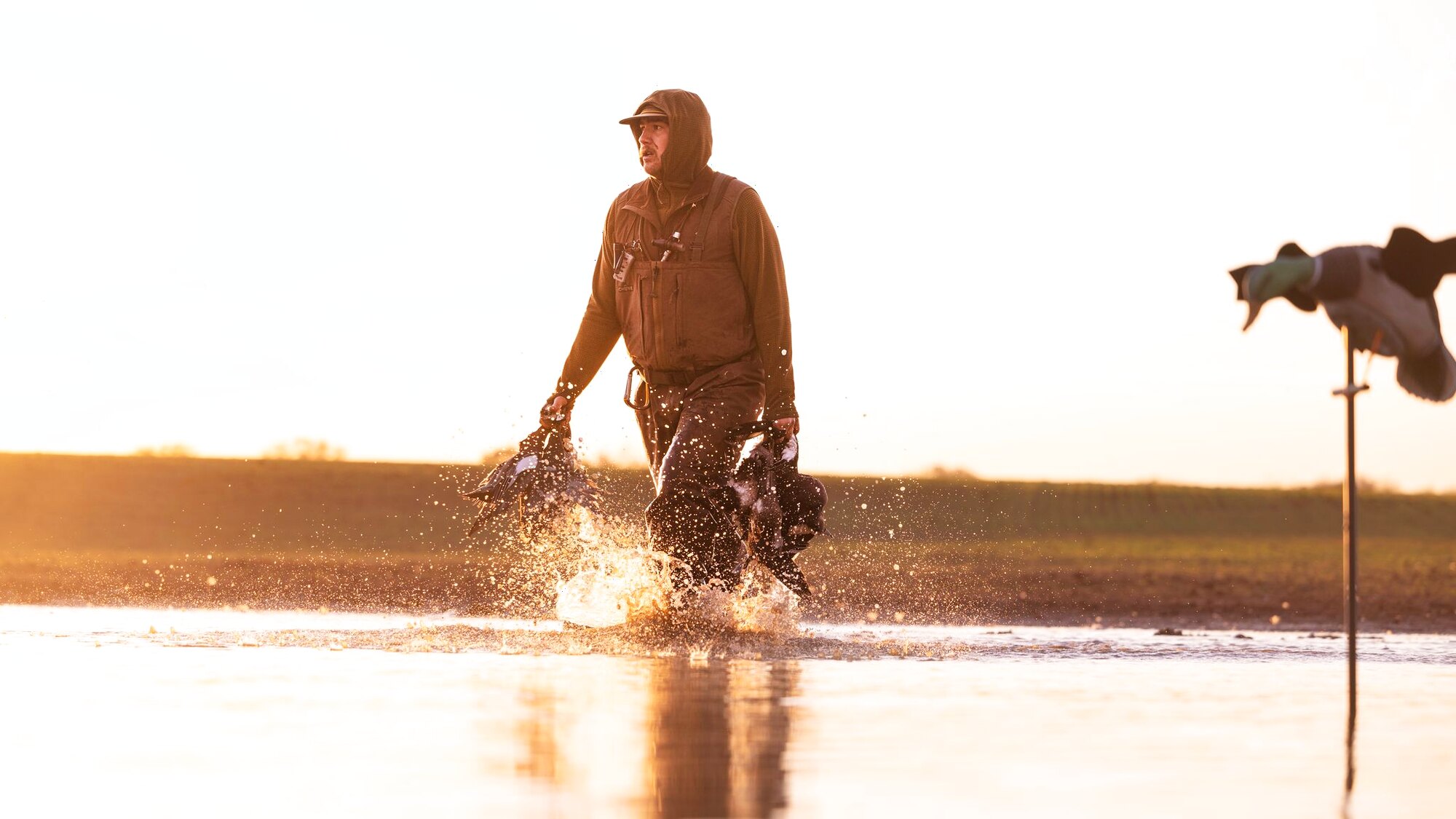 Wading out at first light, a hunt at Dry Creek Outfitters