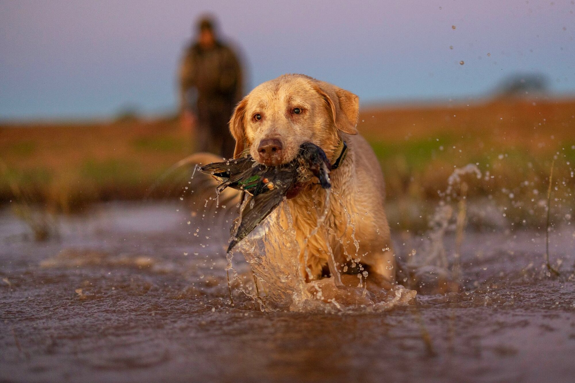 Water work, a hunt at Dry Creek Outfitters